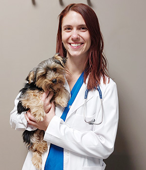 Image of Dr Jamie Gerlach with a dog at Blue Springs Animal Hospital near Kansas City