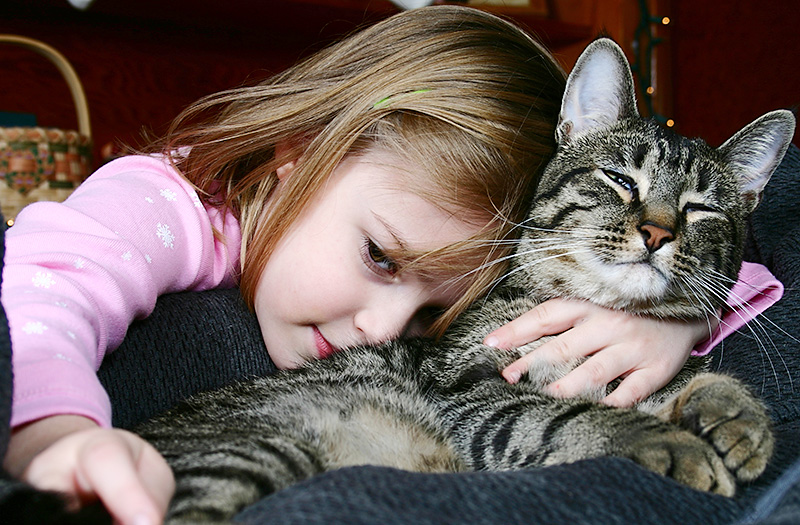 Rescue Dogs and Cats Affordable Veterinary Care Plan at Blue Springs Animal Hospital