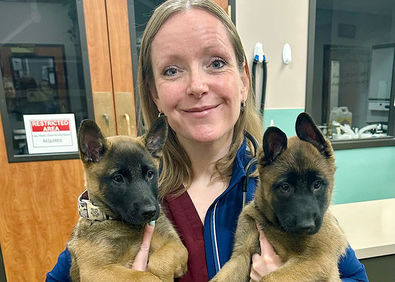 Dr Samantha Nye, Dog Breeding and Reproduction Veterinarian in Kansas City 