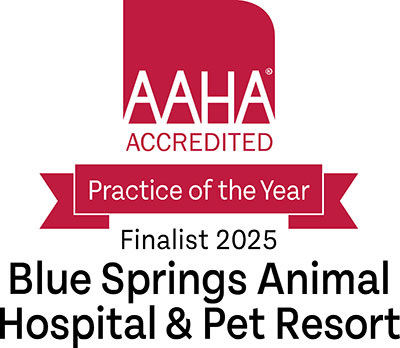 American Animal Hospital Association 2025 Practice Of The Year Finalist