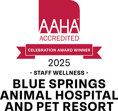 American Animal Hospital Association Staff Wellness Award