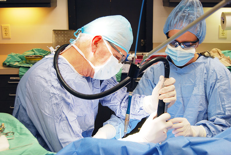 Blue Springs Animal Hospital provides Advanced Surgical Care