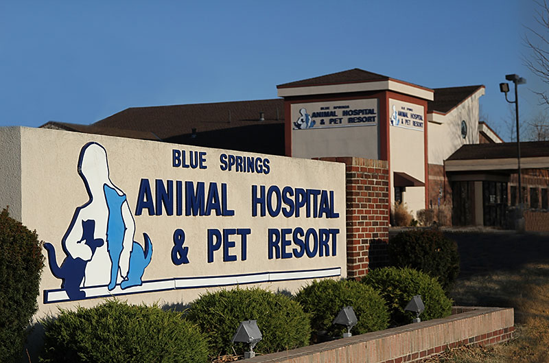 Blue Springs Animal Hospital has State of The Art High Tech Facilities