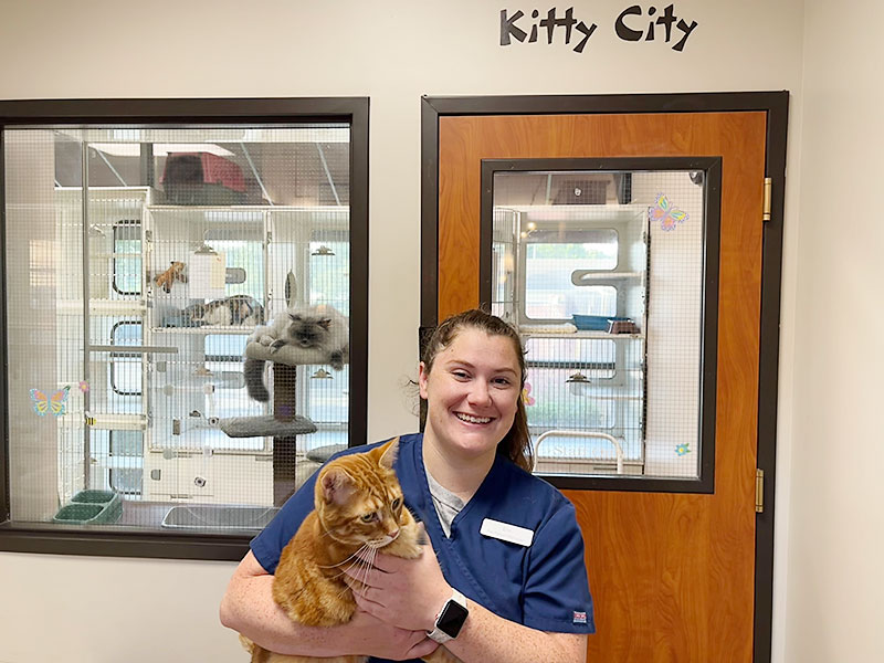 Erin Taylor, Blue Springs Pet Resort Manager, Cat boarding 