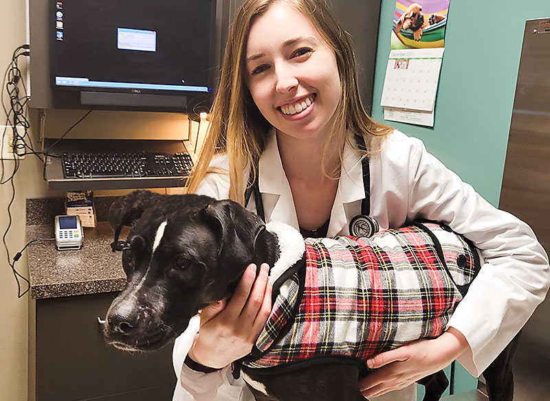 Dr Alana Einspahr Veterinarian Blue Springs Animal Hospital Kansas City Dog