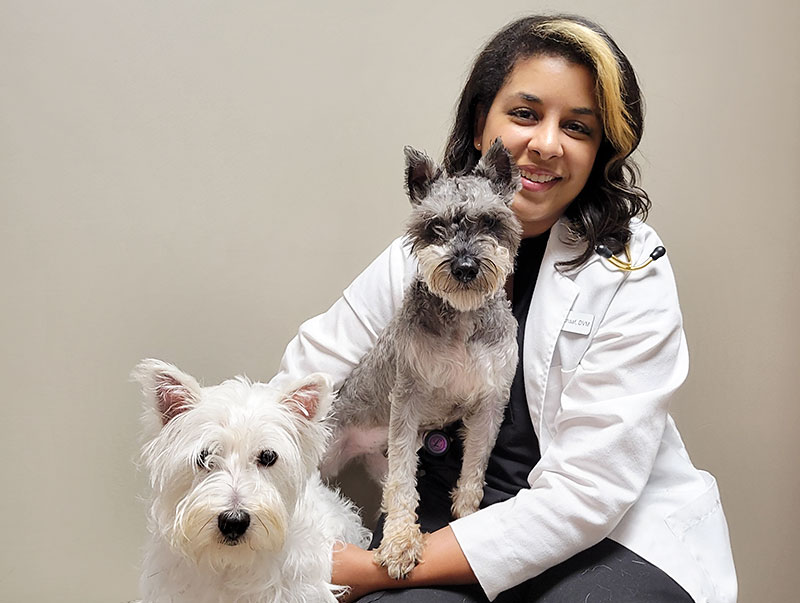 Dr Elisse Schaaf Veterinarian with dogs at Blue Springs Animal Hospital Dr Elisse Schaaf Veterinarian with dogs at Blue Springs Animal Hospital