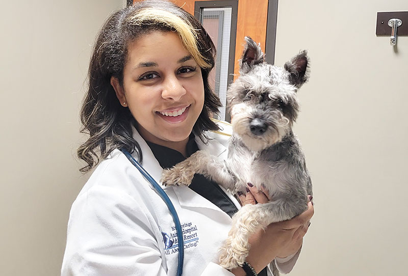 Dr Elisse Schaaf examines a dog at Blue Springs Animal Hospital Dr Elisse Schaaf examines a dog at Blue Springs Animal Hospital