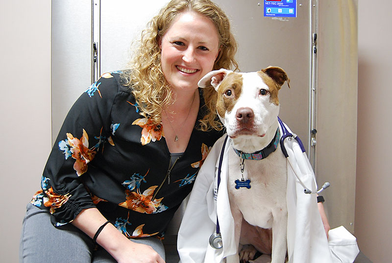 Dr Katie Dear Veterinarian Blue Springs Animal Hospital near Kansas City