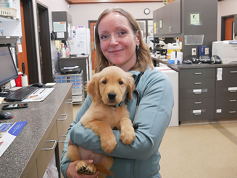 Dog Breeding Veterinarian near Kansas City Dr. Samantha Nye