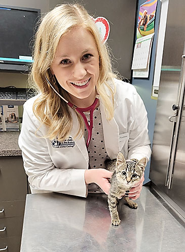 Image of kitten with Feline-Veterinarian-Kitten_Vaccines_Kansas_City_Blue_Springs_Animal_Hospital