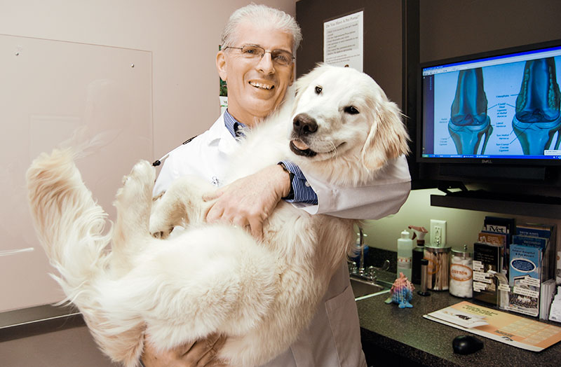 Dr. Joe Rodier Veterinarian Kansas City Blue Springs Animal Hospital