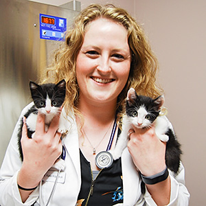 Image of Veterinarian Giving Vaccines at Blue Springs Animal Hospital in Kansas City