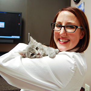 Image of Kitten Receiving Vaccines at Blue Springs Animal Hospital in Kansas City