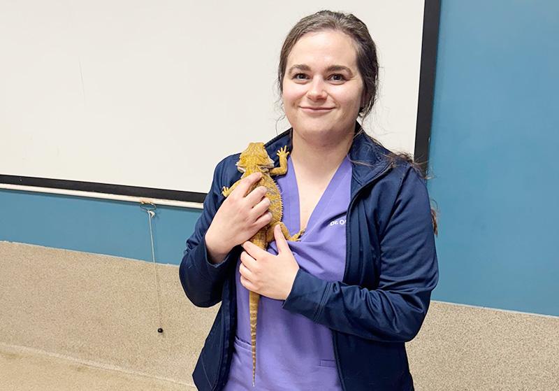 Reptile Veterinarian Dr. Molly O'Brien examines a lizard at Blue Springs Animal Hospital near Kansas City
