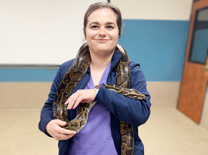 Dr. Molly O'Brien, Reptile Veterinarian with a snake at Blue Springs Animal Hospital