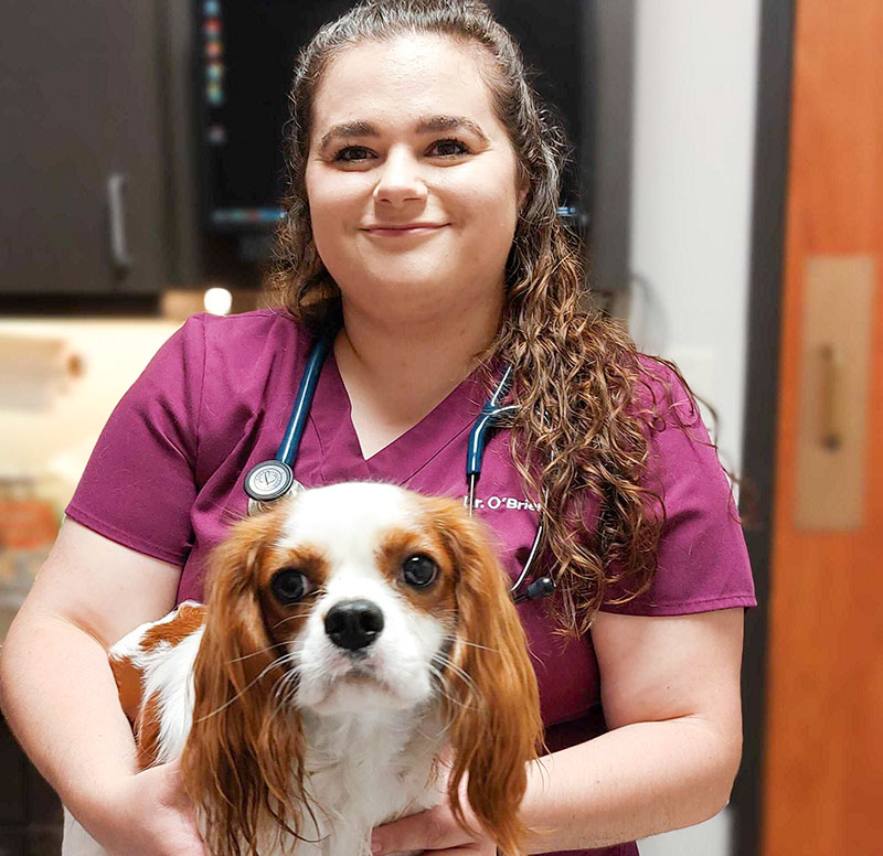 Dr. Molly O'Brian, Veterinarian, at Blue Springs Animal Hospital