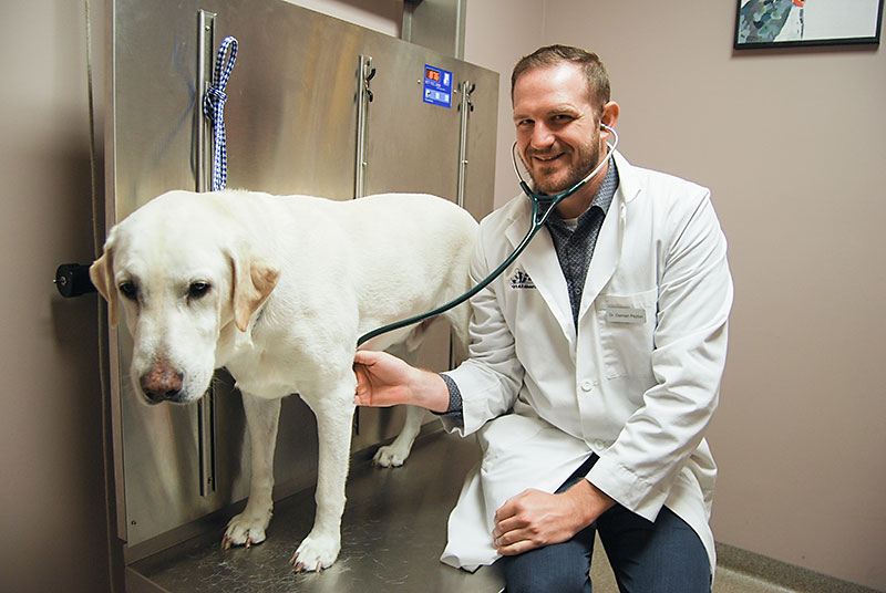 Dr_Damian_Peyton_Veterinarian_Kansas_City orthopedic surgery dogs