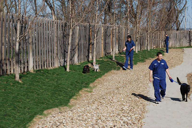 Outdoor leash walks at Blue Springs Pet Resort