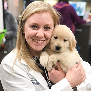 Image of Veterinarian Doing Puppy_Vaccines_Kansas_City_Blue_Springs_Animal_Hospital