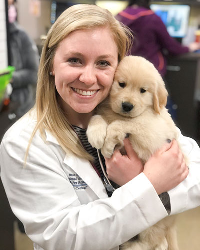 Image of Veterinarian Doing Puppy_Vaccines_Kansas_City_Blue_Springs_Animal_Hospital