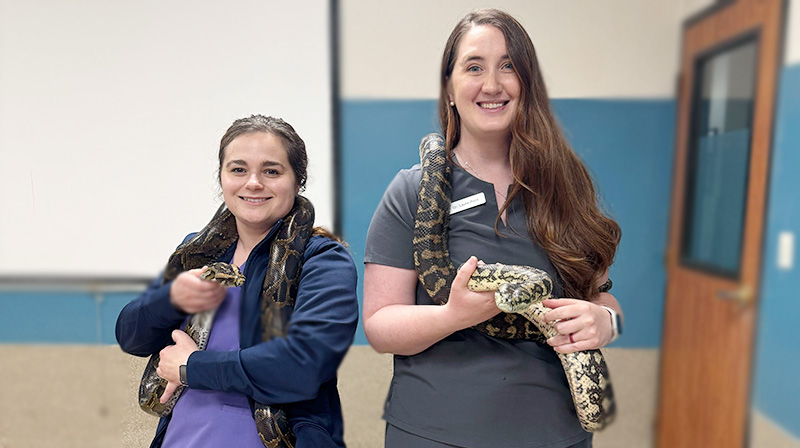 Reptile, Avian, and Exotics Veterinarians at Blue Springs Animal Hospital