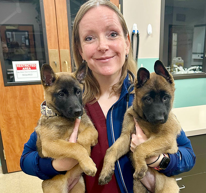 Dr. Samantha Nye Dog Breeding Veterinarian Kansas City