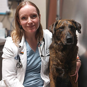 Dr Samantha Nye Dog Breeding Veterinarian in Kansas-City
