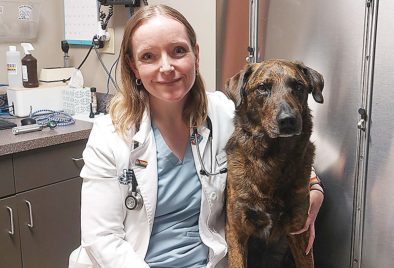 Dr Samantha Nye Dog Breeding Veterinarian in Kansas-City
