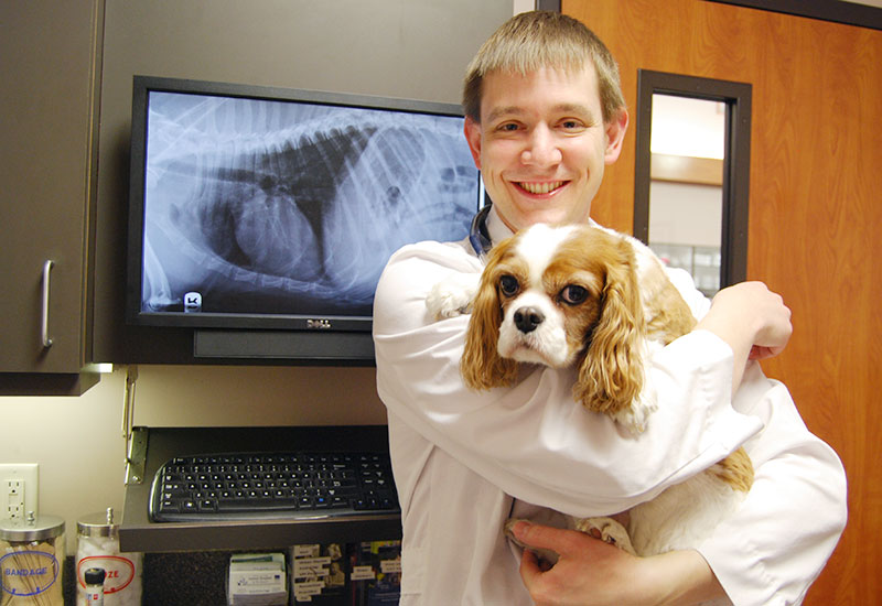 Dr Stuart Ryder Veterinarian Blue Springs Animal Hospital Examines a Dog
