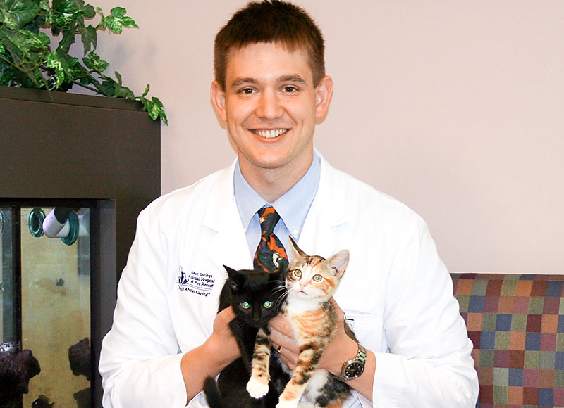 Dr Stuart Ryder Veterinarian Blue Springs Animal Hospital Kansas City Cat