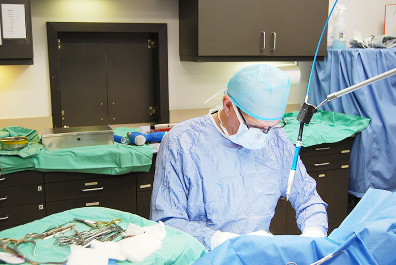 TPLO Surgery Veterinarian Dr Joe Rodier Kansas City