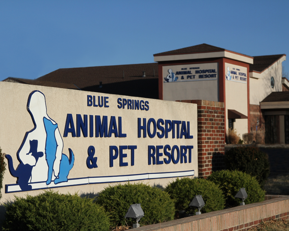 Blue Springs Animal Hospital & Pet Resort building sign