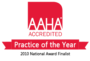 AAHA Practice of the Year finalist