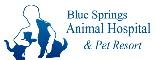 Blue Springs Animal Hospital & Pet Resort